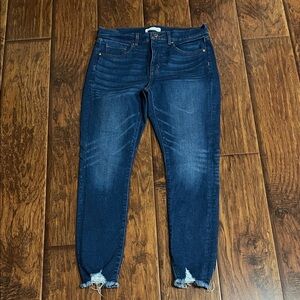 LOFT Midnight Blue Cropped Jeans